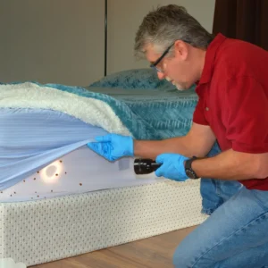 Studio Apartment Bed Bug control Service