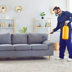 3 Bedroom Apartment Ant control Service