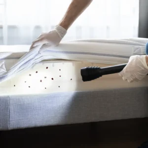 4 Bedroom Apartment Insect control Service